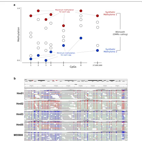 Fig. 2 Detection of DMRs. a Scheme of the generation of synthetic methylomes. b Representative example of an inter‑individual DMR (DMR128, chr17:6558143‑6558981) visualized in the IGV browser