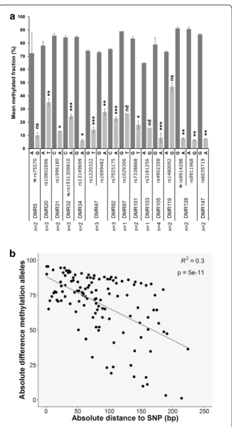 Fig. 6 Allele‑specific DNA methylation. ylation for 14 DMRs (16 SNPs) performed by targeted deep bisulfite sequencing and sorting of reads by SNP allele