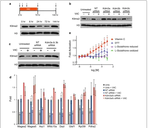 Fig. 3 Kdm3a and Kdm3b mediate vitamin C‑induced loss of H3K9me2. qPCR for H3K9me2 at gene promoters in ES cells as fold change relative to the untreated control