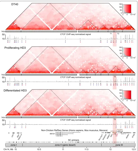 Fig. 3 The studied genomic region is partitioned into TADs largely conserved between lymphoid and erythroid cells