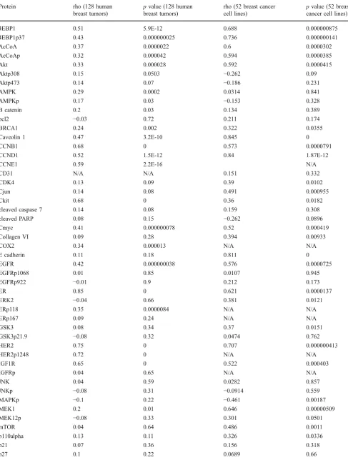 Table 3 Eighty-two protein–mRNA correlation coefficients (rho) and corresponding p values