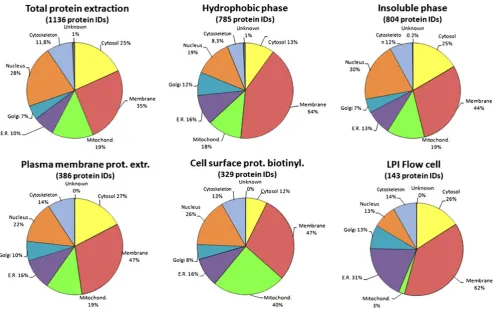 Fig. 2 Extraction efficiency of proteins from different cellularlocations. Pie chart showing cellular location of identified proteinsafter the different protein extraction methods