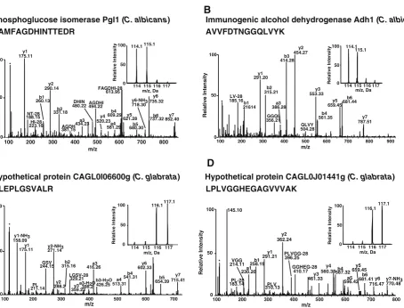 Fig. 3 Representative MS/MS spectra of peptides which areuniquely identified in either C