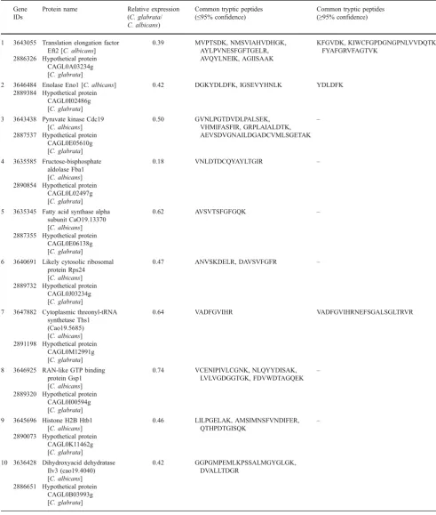 Table 1 A partial list of proteins differentially expressed in Candida albicans