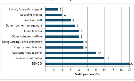 Figure 6 In addition to being a lead contact for the mental health pilot, what other role(s) do you have within your school? (school lead contacts) 