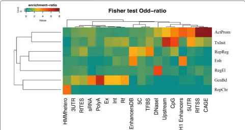 Fig. 3 Enrichment of chromatin profiles with respect to genomic features. The heatmap represents the enrichment of each chromatin profile (mation capture carbon copy data from hESC; EnhancersDB =sRNA rowscompared to different regions of the gene and distin