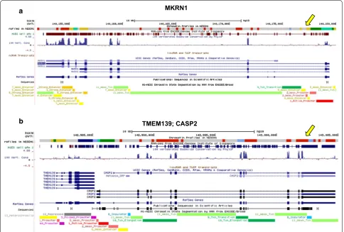 Fig. 10 Examples of genomic visualization of the NMF-based epigenetic profiles on the UCSC Genome Browser