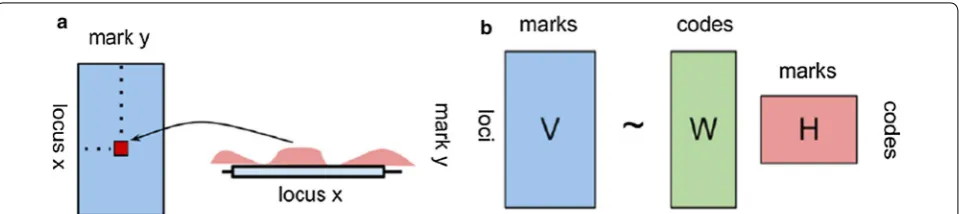 Fig. 1 Non-negative matrix factorization of epigenetic data. The scheme gives an intuitive representation of how NMF can be used to approximate a multivariate epigenetic signal in a pre-defined number of signal patterns