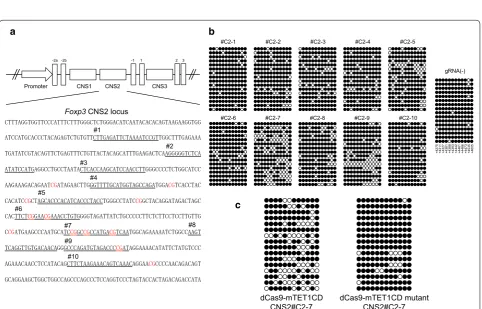 Fig. 1 CRISPR-dCas9-based epigenome editing for primary T cells. somal entry site (IRES)