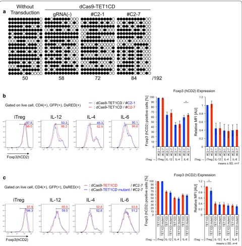 Fig. 3 Maintenance of Foxp3 expression induced by dCas9-TET1CD-mediated demethylation of the Foxp3 CNS2 locus