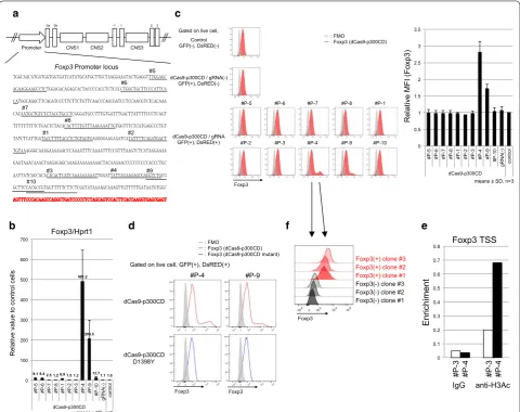 Fig. 4 dCas9-p300CD-mediated gRNA sequence is transduced 68-41 cell stably expresses dCas9-p300CD relative to control 68-41 cells (control)