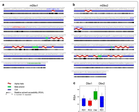 Fig. 2 Secondary structure prediction of Dbx1 and Dbx2 proteins. Primary sequence and secondary structure prediction for mouse Dbx1 (a) and Dbx2 (b)