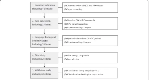 Fig. 1 Steps towards development and validation procedure