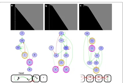 Fig. 4 With CCS, different segmentation mechanisms can evolve (transient signal, CCS)