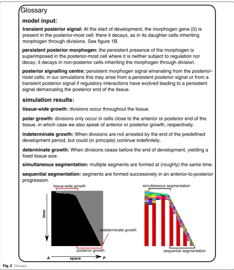 Fig. 2 Glossary