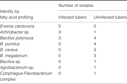 Table 1 Identiﬁcation, by fatty acid proﬁling, of bacterial isolatesfrom tubers infected by Erwinia carotovora and from uninfectedtubers