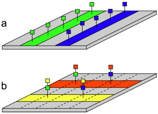 Figure 7.6: Principle of in situ solid-phase synthesis by surface striping. Using microchannels or other means, one can confine reagents to flow in a thin stripe along the substrate surface