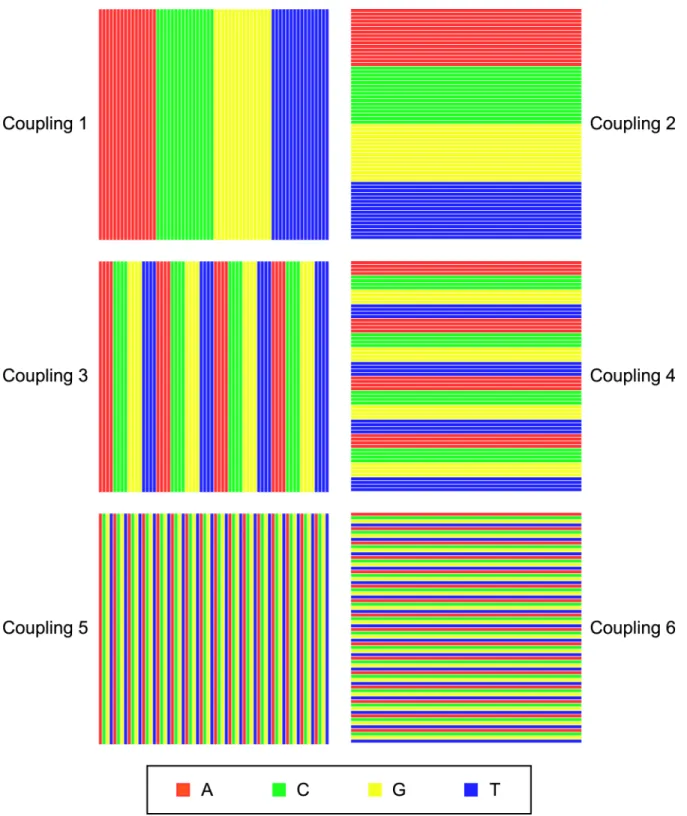 Figure 7.7: Pattern of nucleotide coupling steps to build all DNA 6-mers in 6 steps. There are 4 “monomers” from which DNA is synthesized: A, C, G, and T