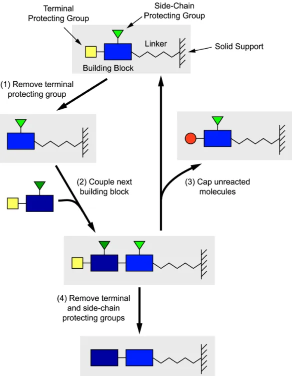 Figure 7.1: Schematic of solid-phase synthesis. The desired molecules are built up one building block at a time