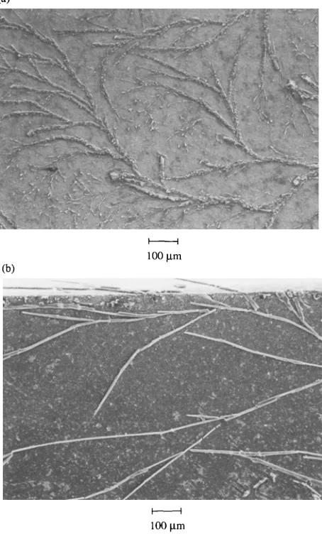 Fig. 3 SEM of poly(XV1) (a) and poly(XVI1) (b) on I T 0  glass, showing extensive raised dendritic structures 