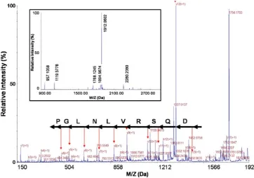Fig. 3 Box plots for fourcategories of endogenous uri-nary peptides signal intensitieswhen normalized against theirpresence in normal healthy con-trol
