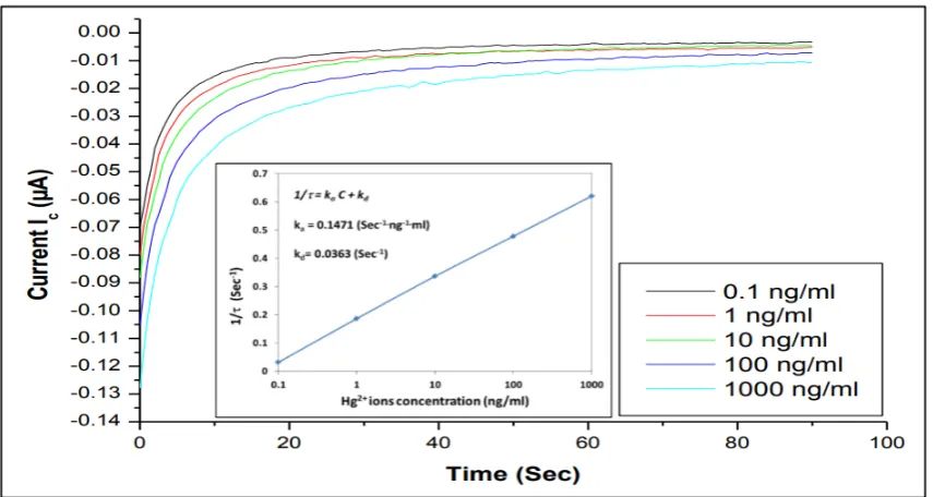 Figure 7.Time dependenciesagainst the concentration of HgFigure 7.  of the cathode current at fixed voltage of −0.2 V for different concentrations of different concentrations Hg2+ binding to anti-Hg2+ aptamer