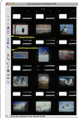 Figure 3 – “CMS” options setup