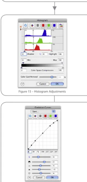 Figure 14 – Apply automatic image adjustment