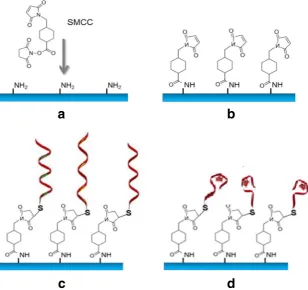 Fig. 3 Aptamer immobilizationprotocol: amine-functionalizedsurface of Si3N4 (a), SMCC-activated surface (b), aptamersimmobilized (c), and aptamerbinding target analyte molecules(d)