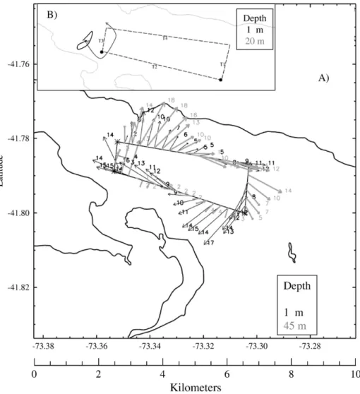 Fig. 6. A) Velocity vectors of the residual ﬂow obtained with ADCP proﬁles at 1-meter and 45-meter depth (cm/s, without decimals)