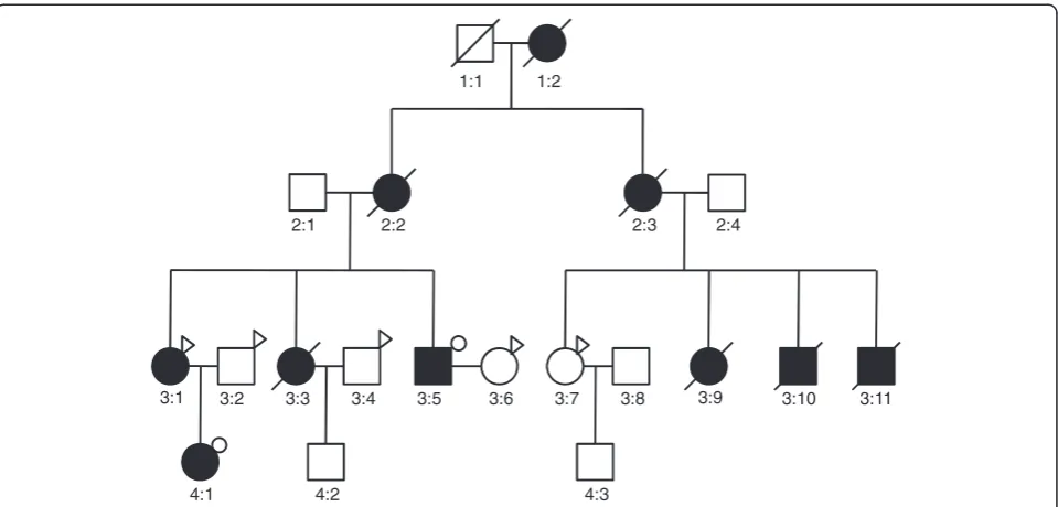 Figure 1 Pedigree of Marfan syndrome family. Circles represent female participants and squares male participants