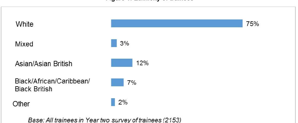 Figure 1: Ethnicity of trainees 