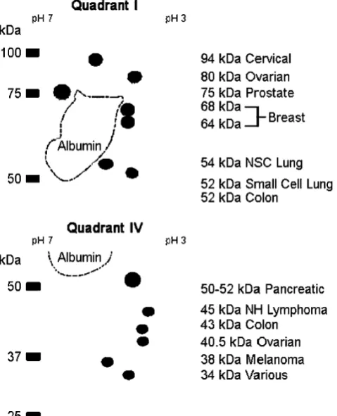 Fig. 3 2DGE map of ENOX2 isoforms and isoform patterns based onanalyses of sera from patients representing each cancer site analyzedindividually (Fig