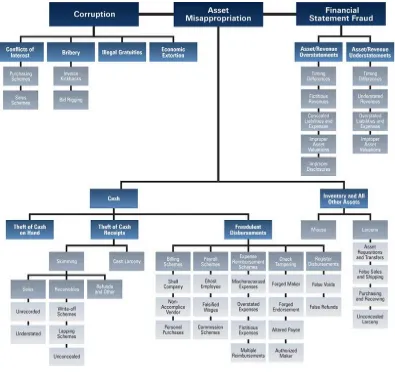 Figure 2.4 The Fraud Tree 