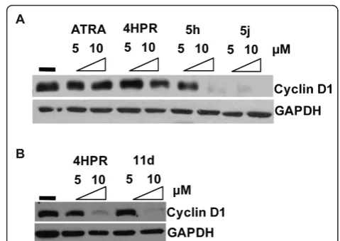 Figure 4 Induction of cell death by 4-HPR and its derivatives10and peptidomimetics: A-C