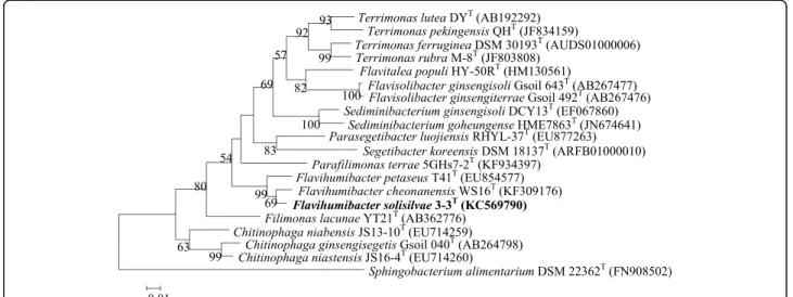 Fig. 1 A 16S rRNA gene based ML phylogenetic tree showing the phylogenetic position of F
