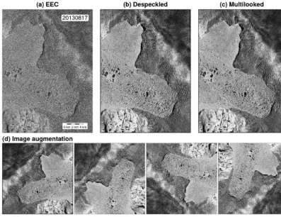 Figure 2. A set of examples of TerraSAR-X data preprocessing and preparation, including thevertically ﬂipping and rotating (a) enhanced-ellipsoid-corrected (EEC)product, (b) despeckled image after reducing the speckle noise, (c) multilooked image after dec