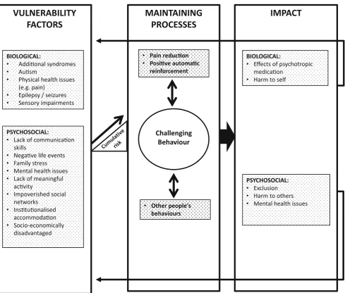 Fig. 2 A revised (building on Hastings et al. 2013) framework for understanding challenging behaviour