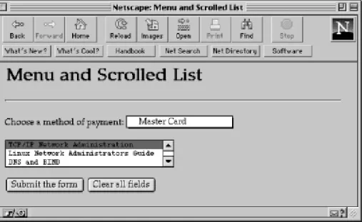 Figure 4.4: Form with multiline text input