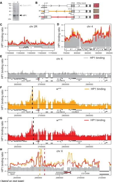 Figure 1 (see legend on next page)