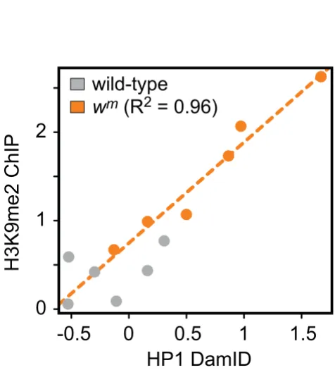 Figure 1, E-G. HP1 values represent the average of tiling array probes located within 500 bp of the sequences probed in [46]