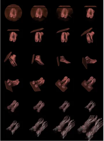 Figure 6: Making an animation using the image graph. Five key-frame were selected from an image graph to produce an animation sequence
