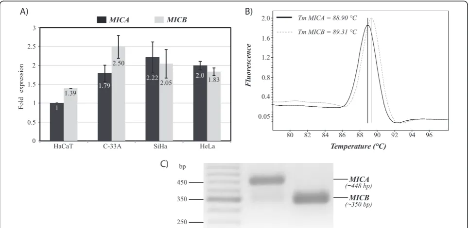 Figure 5 Relative quantification analysis of MICA and MICB genes. A) Relative expression of MICA and MICB in each cell line was performedby Real-Time PCR using GAPDH, b-Actin and L32 ribosomal protein as reference genes