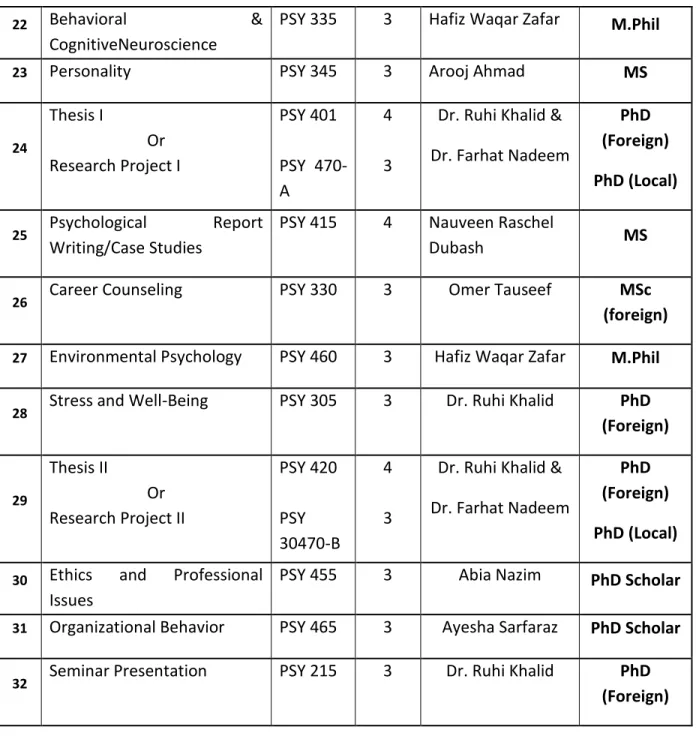 Table 4.6: Faculty distribution by program areas 