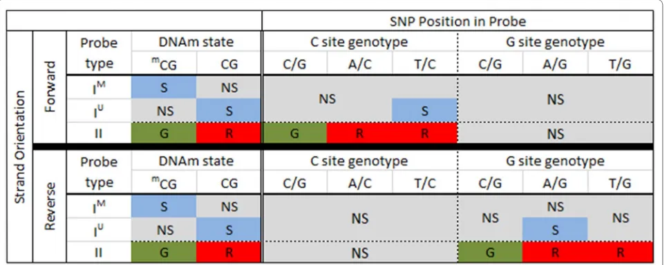 Fig. 2 Predicted 450k signal for SNPs present at the interrogated CpG site. On the left, in the “DNAm state” column, we show the expected signal for methylated and unmethylated CpG states, when no SNP is present, for both Type I and II probe designs