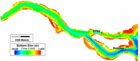Figure 1. Eastern Strait of Johor (Station STN4 and release location).  