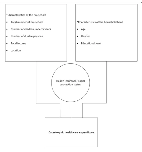 Fig. 1 Conceptual framework of determinants of catastrophic health care expenditure