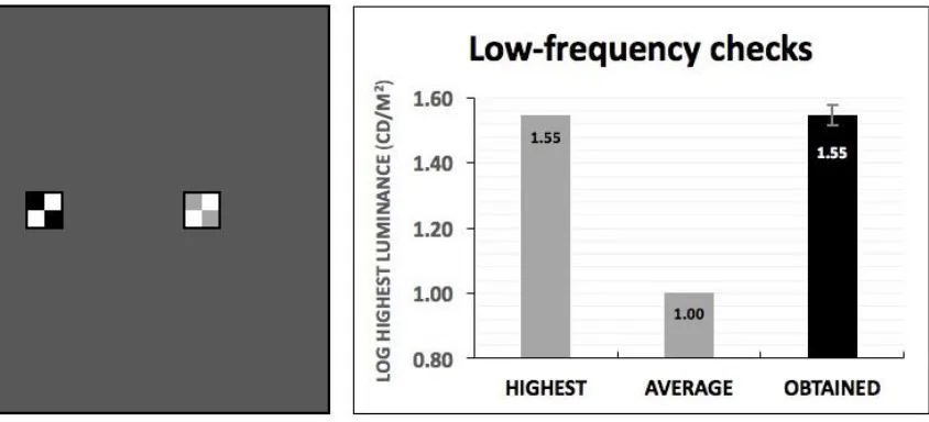 Figure 3. Stimuli and results for Experiment 2. 