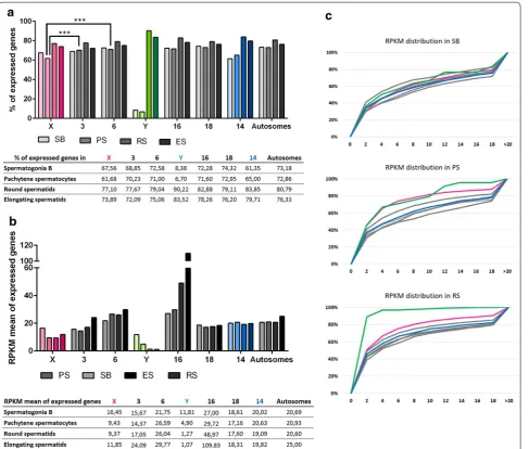 Fig. 4 Dynamics of XY gene expression and autosomal gene expression during spermatogenesis