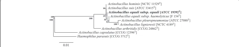 Table 1 Classification and features of A. equuli subsp. equuli ATCC 19392T
